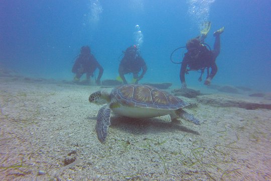 Tour image 4