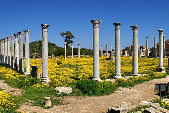 Tour image 4